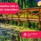 Geobotanikai séta a Hévízi-tó körüli véderdőben